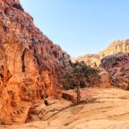 The Good, The Bad & The Dubious